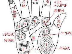 ����ͼ���ȫ��ӵ������������������ܶ�