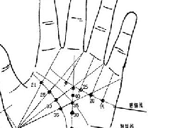 ����ͼ���ȫ�����µ�������������������