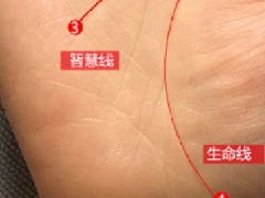 ��������ͼ���ȫ�������ߵ�ڹ��