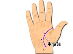 ����ͼ���ȫ�е������߸��������彡������ϵ��֪����