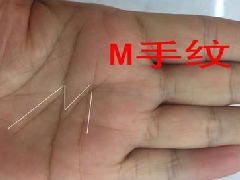 ����ͼ���ȫ��Ů�����е�m�Ʊ�ʾʲô�أ�