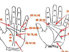 ����ͼ���ȫ��ʲô����������һ��������أ���������������