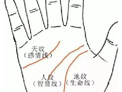 ����ͼ���ȫ�����Ƹ�������ʲô����Ӱ���أ�