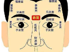 ����ѧ������12���е�4������ ��ӵ��������������