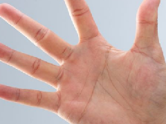 <b>����ͼ���ȫ��ʲô����ָ���˻�ӵ��ʲô�����Ը��أ�5����ָ</b>