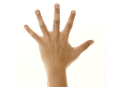 ������ͼ���ȫ�������ָͷӵ��ʲô���ĳ�������أ�