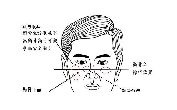 ����ѧ������ָ���Һ������Ӧ����ӵ�������������