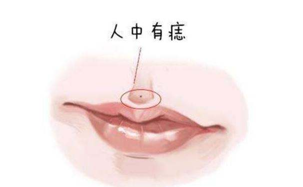 <b>ʲô�����У�������ͼ���ȫ�������������������Σ�</b>