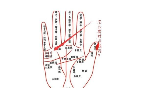 ����ͼ���ȫ�й��ڲ����ߵĽ��� ��һ�����ǲ��Ǹ�����