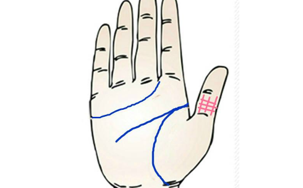 ����ͼ���ȫ�еĲƸ�����ʲô��˼�أ�