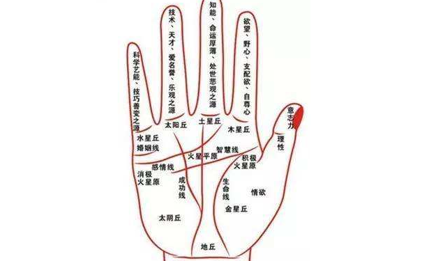 ����ͼ���ȫ�����˲����ߵĽ���