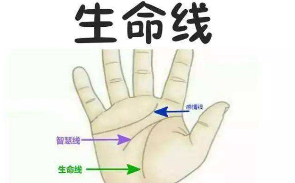 ������ȫ�е������߽��� �����ߵ�4�ֽ���