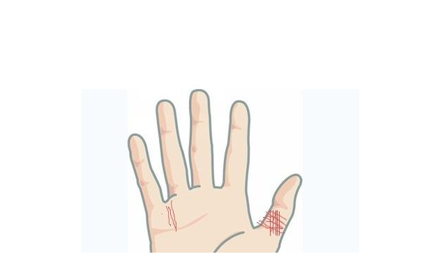 ����ͼ���ȫ�вƸ���ӵ�����µ�ȱ�����˽����