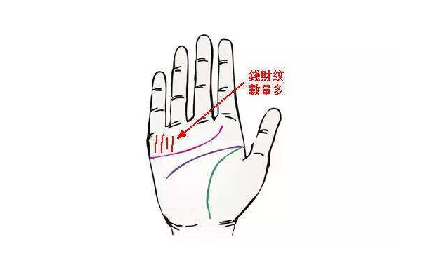 ������ͼ���ȫ��һ����ӵ�м�������������õ��أ�