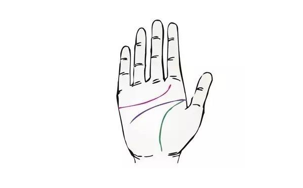 �Ƹ���������ͼ���ȫ������Щ�����أ������˽�����أ�