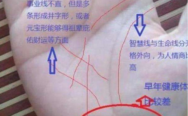 ����ͼ���ȫ������������������������д�ҵ�츳��ҵ������