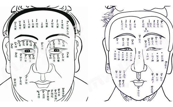 ������ȫ���޵����˶�����Щ�����أ�