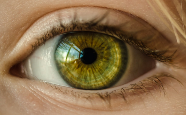 ������ȫ�����ǲ���һ���ܻ�ӭ����