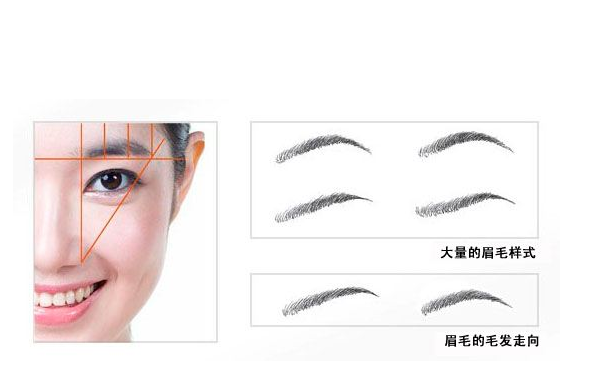 ������ȫͨ��üë����ż