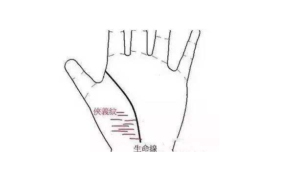 ����ͼ���ȫ�������ߺ������ߵĹ�ϵ