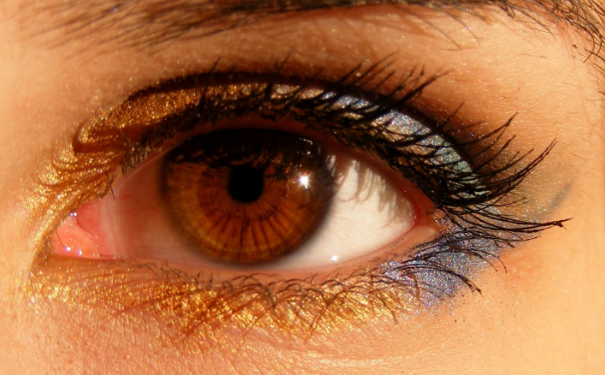 ������ȫ�����ؾ�