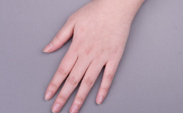 ������ȫĴָ������