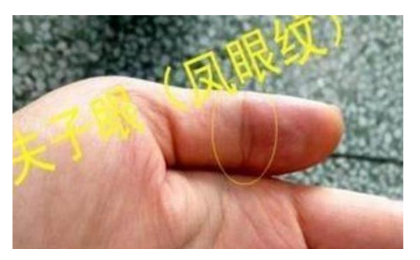 ������ͼ���ȫ�����µ����඼�Ǻܺõ�����