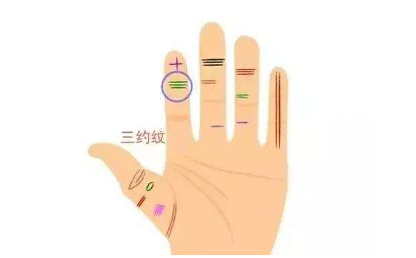 ������ȫָ��ӵ��������Щ������������һ�㶼�ܺ�