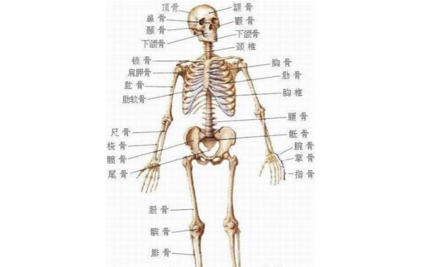 ������ȫ�в�ͬ�Ĺ����ӵ����Щ��һ����Ӱ���أ�