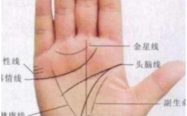 ����ͼ���ȫ�в��˺õ��˻�ӵ��������������