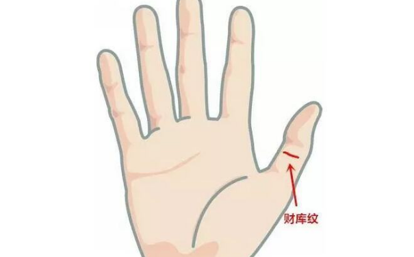 ������ȫ��ӵ�������������˻���һ�����Ҹ�����