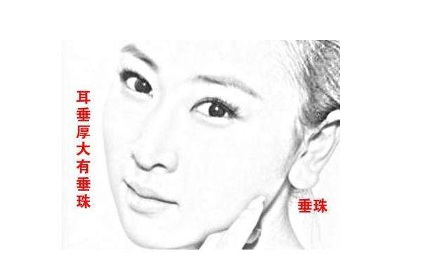 ������ȫ�����и���������