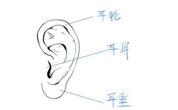 ������ȫ�����������ε��˱ض���һ���и�������