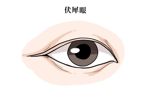 ���õ�����������ȫ�л�ӵ������������