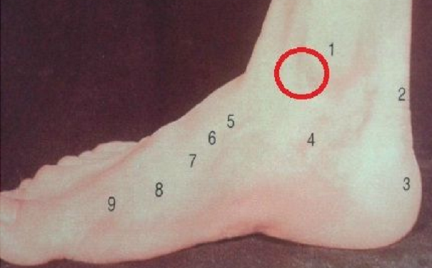 �Ų������˵������ƻ���ô����?������ȫ����ô˵��