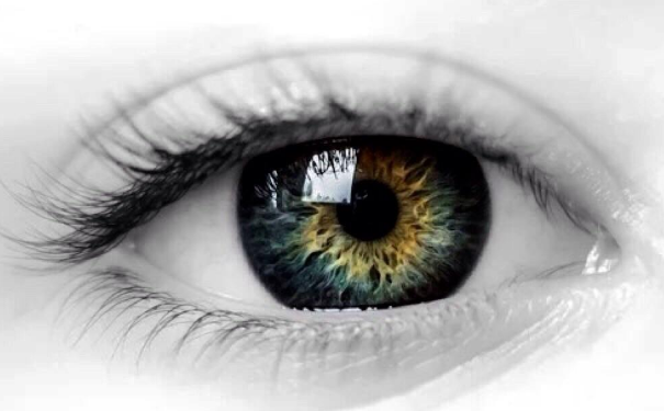 ������ȫ��ӵ�����������͵��˲������ö���