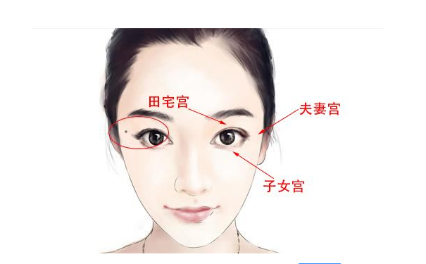 ����ռ��ָ��Ů�������������������Ի�������Ӱ��