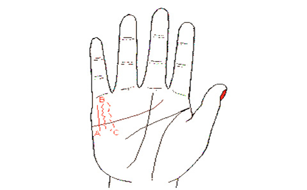 ��������Ĳ����ߣ����׼��������