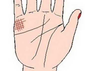 Ů����������ͼ���ȫ����������������