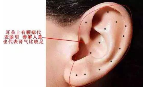 Ů�˶��䳤������ͼ