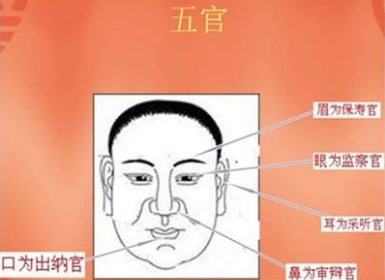 ���Ӷ�ʮ���������