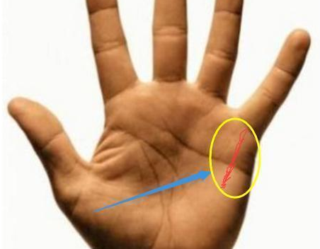 ���ƿ�������������������