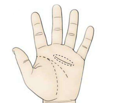 ����������ر�̵��ˣ�������Զ������