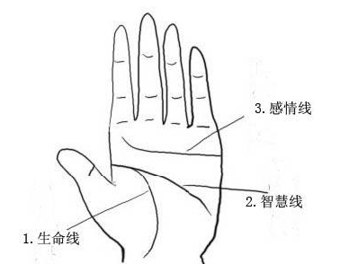 �����ǻ��߳��ֲַ��ǲ��Ǻ���ͷ