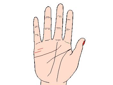 ������ȫ����Ļ����߾�����Ľ�����