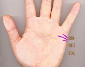 ��ο����ƻ�����