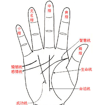 Ů��������������ͼ���ȫ