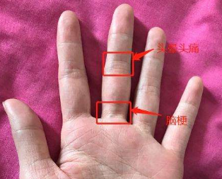 ���ƿ�������������໹����