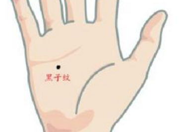 ���в��˵���������Щ