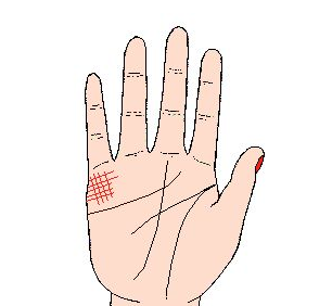 �����Ļ�������ʵ���������